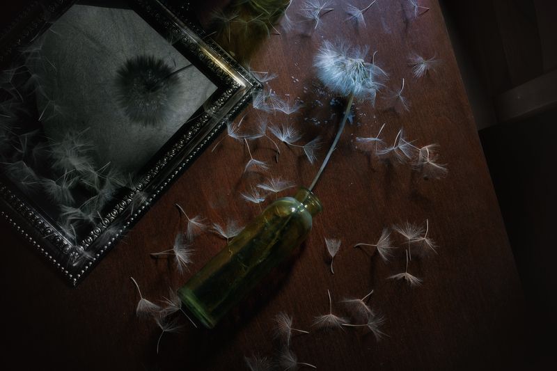 одуванчик, натюрморт, вид сверху На столе фото превью