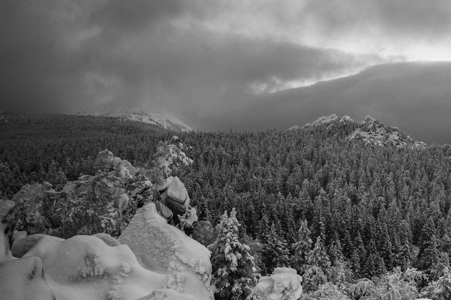 , Андрей Шарапов