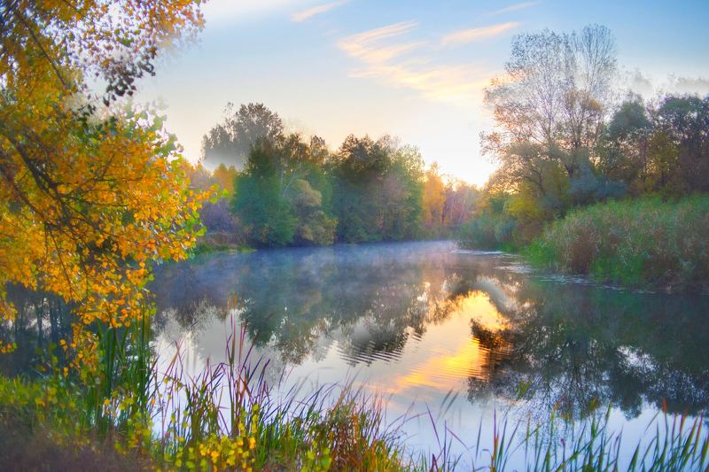 пейзаж, осень, лес Пейзаж как состояние души ... фото превью