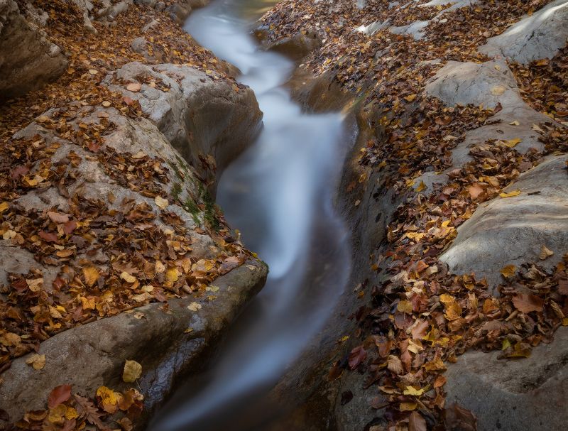 Осенние мотивы... фото превью