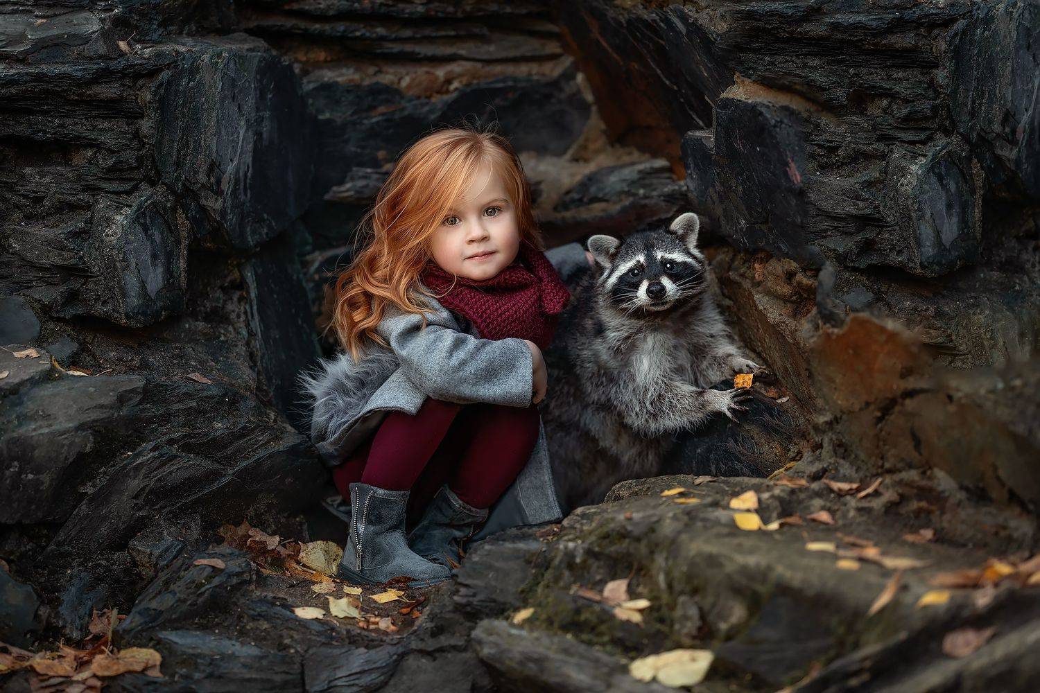 детский, портрет, енот, фотосживотными, Елена Соловьёва