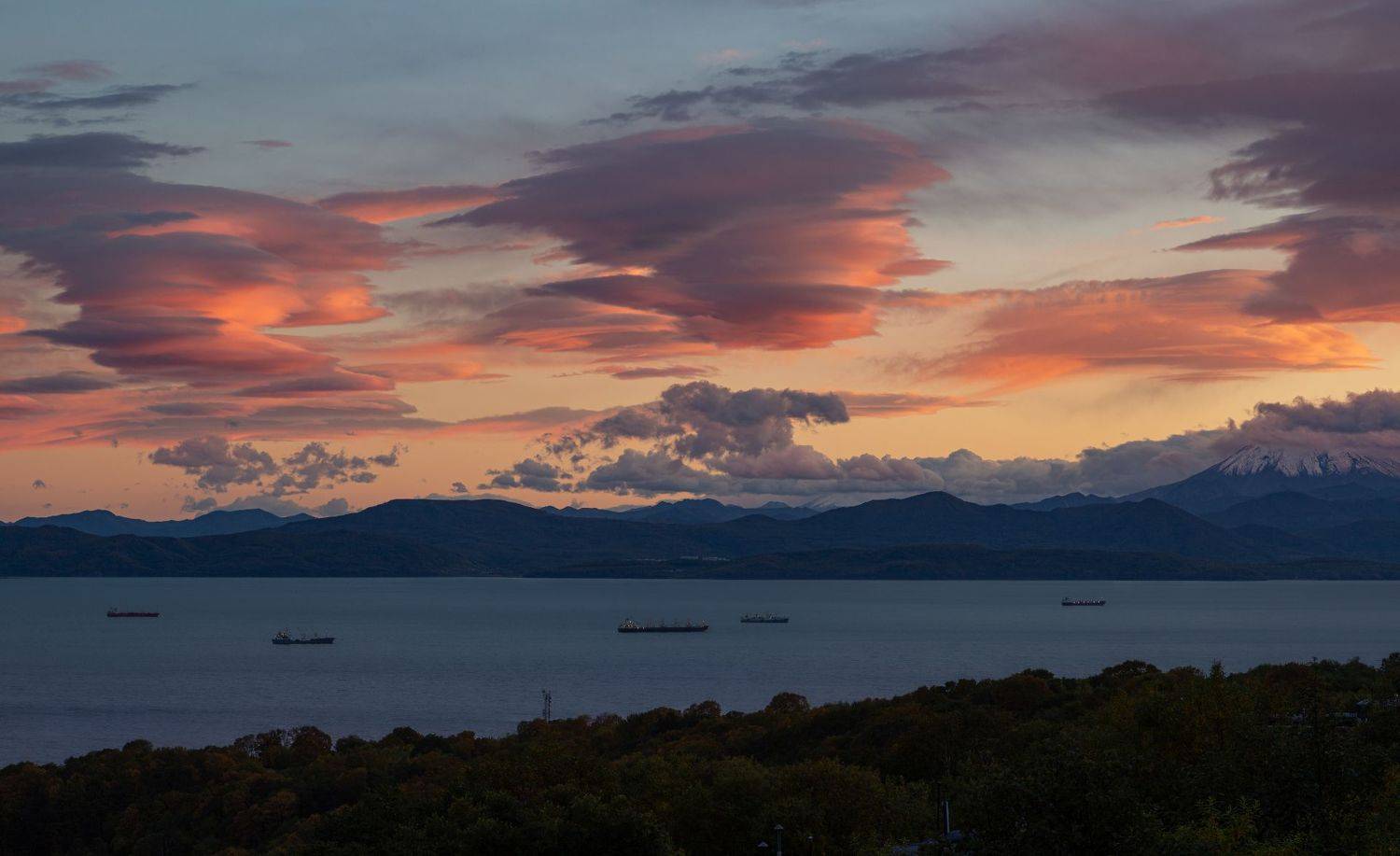 , Александр Максин