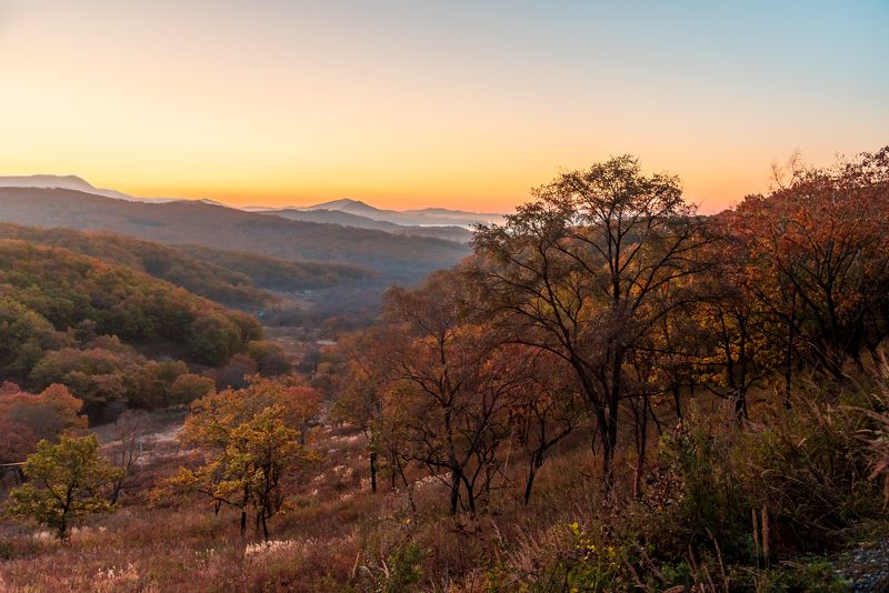 горы, рассвет, утро, осень, увядание, погода В холмах возле Находки фото превью
