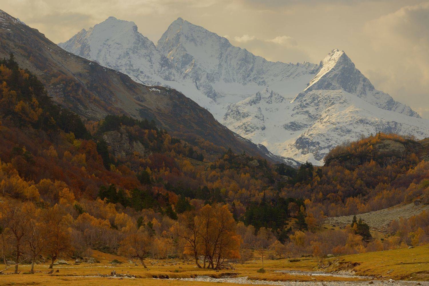 горы осень, Александр Жарников