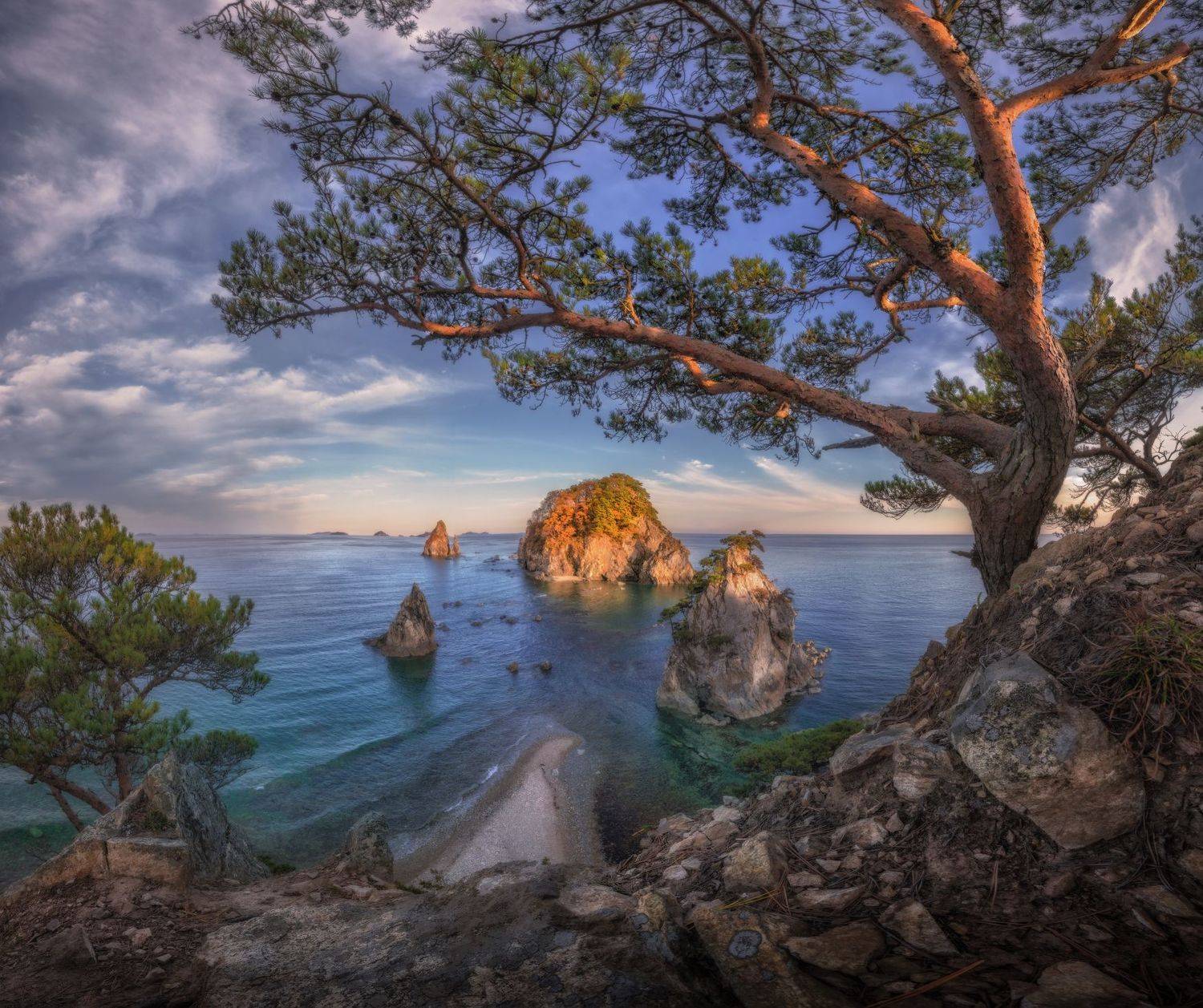 приморье, Андрей Грачев