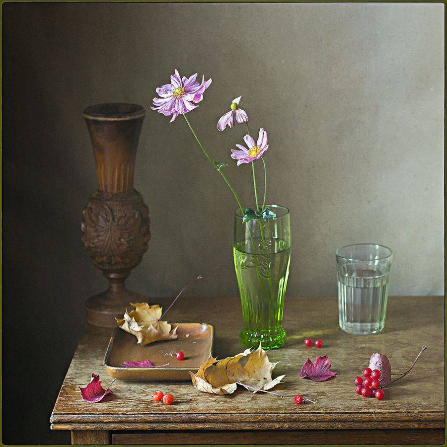 , Stein Georg