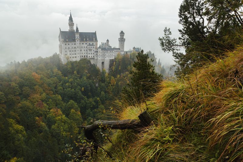 замок; горы; лес; альпы; германия Magic castle фото превью