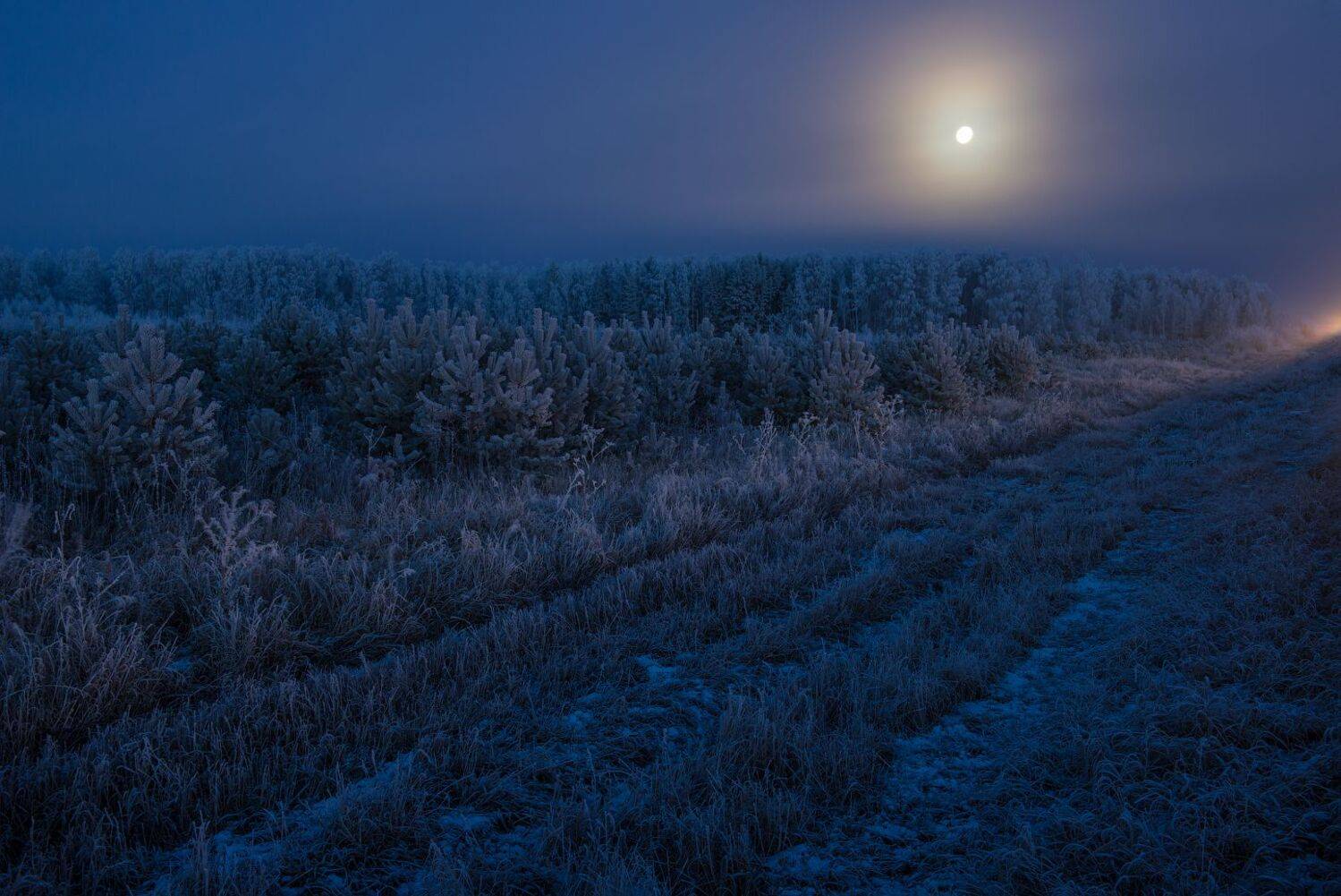 , Кутыгин Эдуард