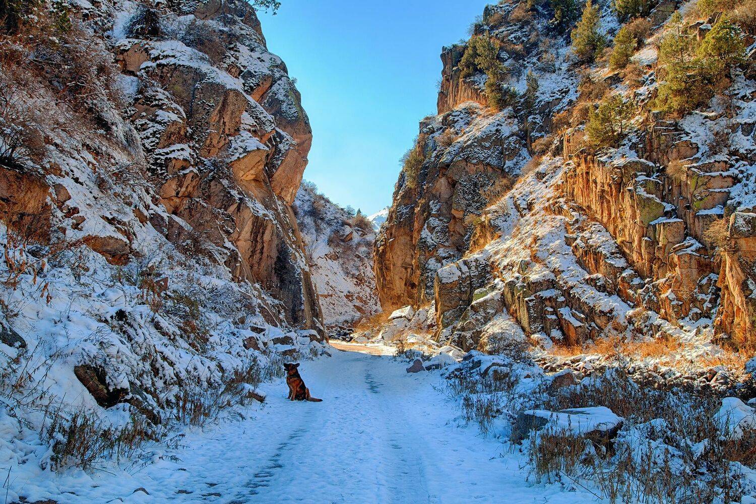 кыргызстан, горы, Элина Магалимова