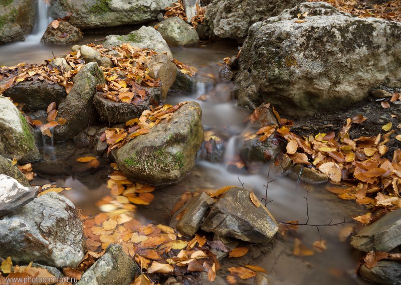 осень, листья, вода, ручей, листья, камин, пейзаж, природа, autumn, red, leaves, stream Осенние краски фото превью
