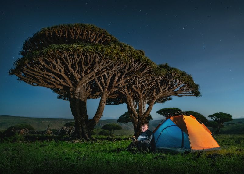 сокотра йемен socotra soqotra yemen драконово дерево вечер dragontree Лунная ночь на плато Диксам фото превью