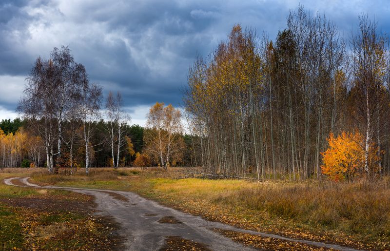луг осень октябрь вечер тучи облака Какое безбрежное небо фото превью
