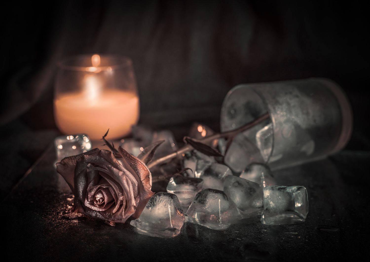 , Лапшина Владлена