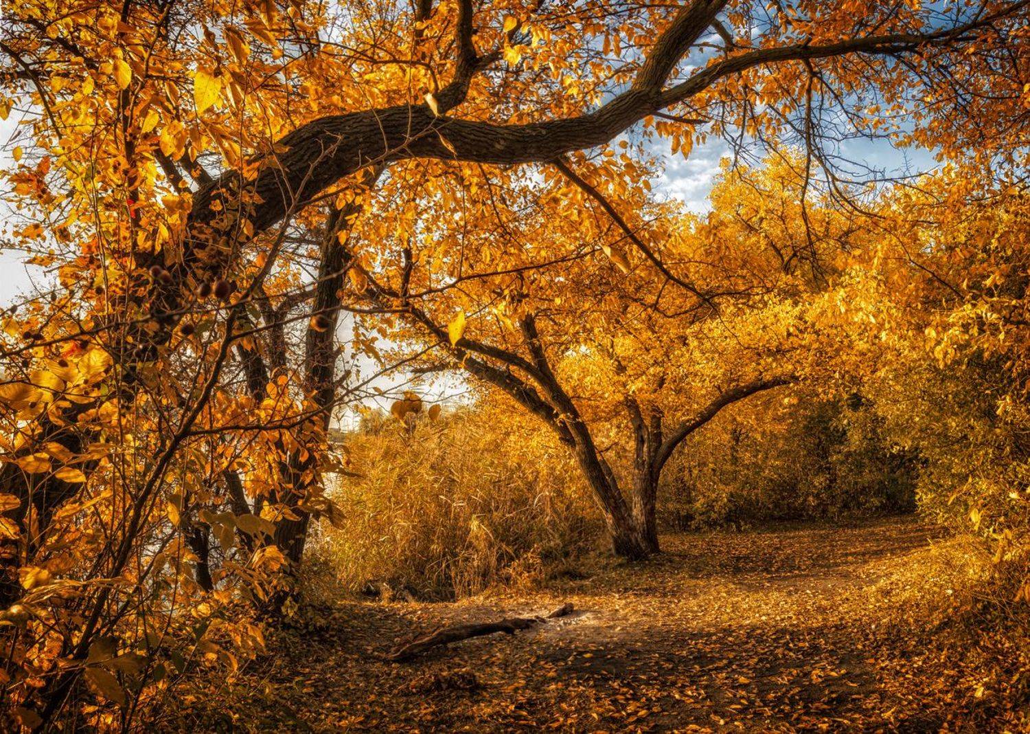 , Игорь Мелекесцев