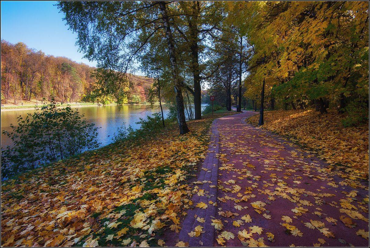 москва, царицыно, октябрь, АНАТОЛИЙ ДОВЫДЕНКО