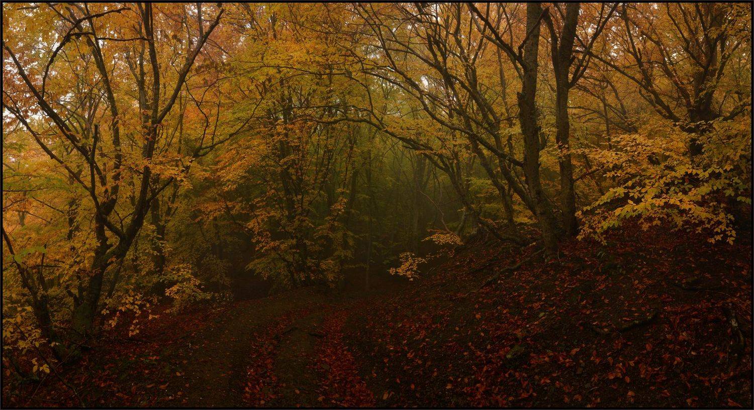 , Владимир Метцгер