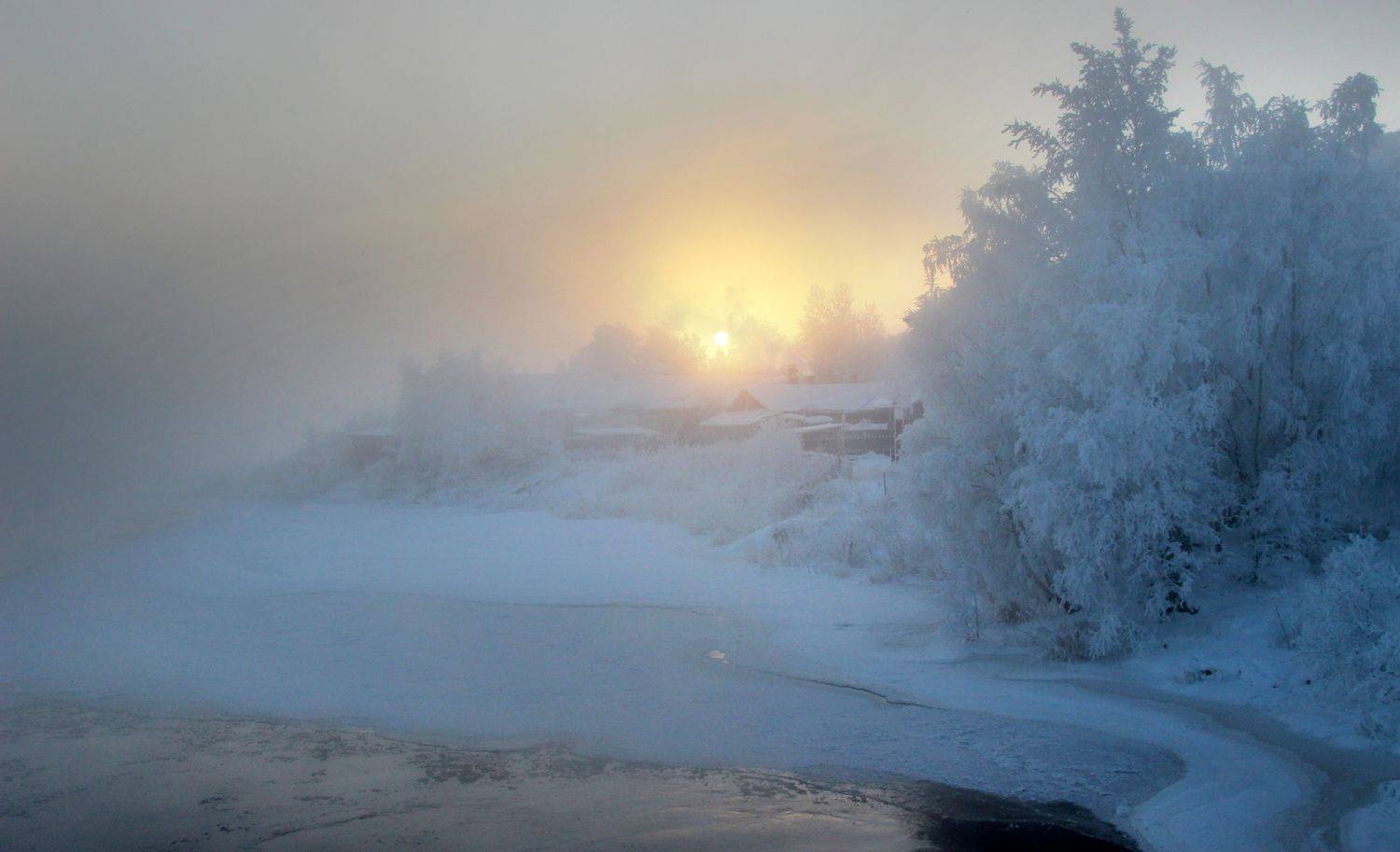 , Александр Коротков