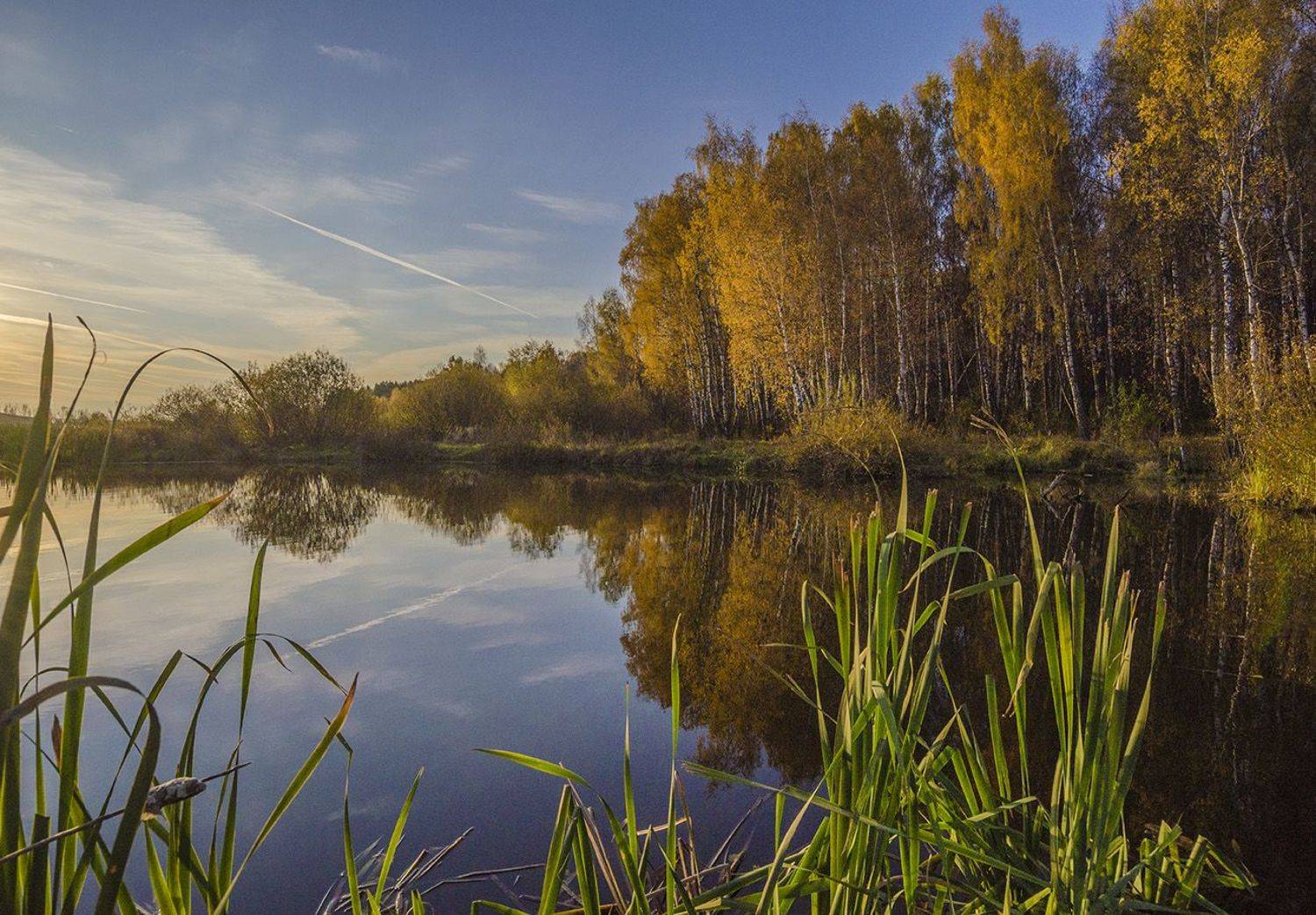 осень, октябрь, архангельское, Михаил Агеев