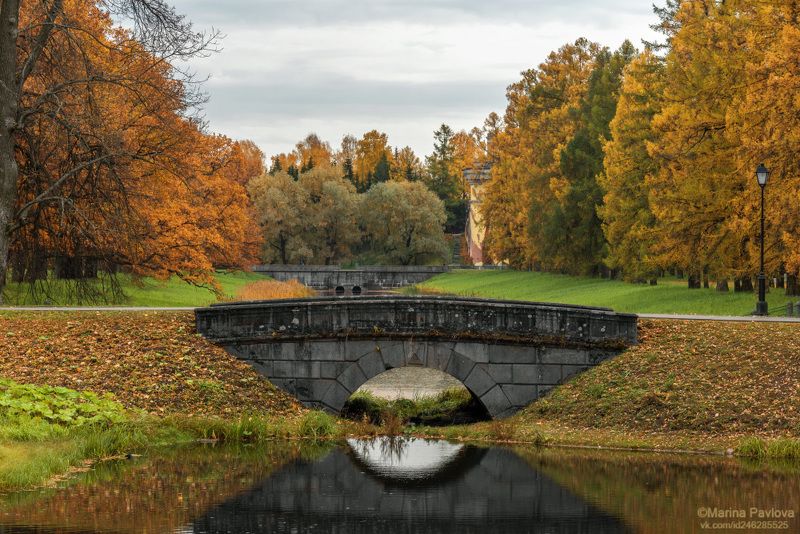 золотая осень, пейзажный парк, александровский парк, царское село, город, город пушкин, пригороды петербурга, nikon Золотая уходящая осень... фото превью