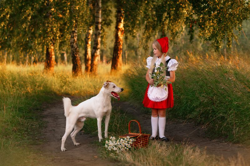 Красная шапочка фото превью