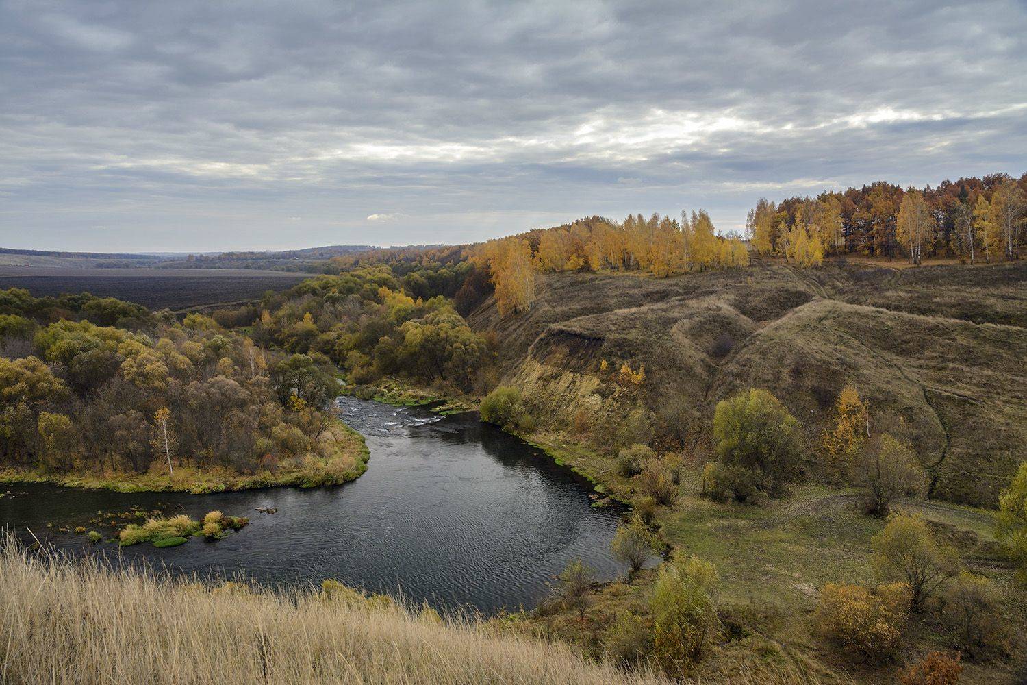 , Анатолий Зверев