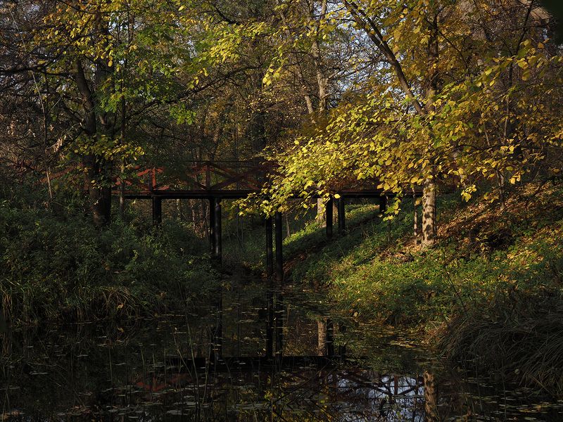 осенний мостик фото превью
