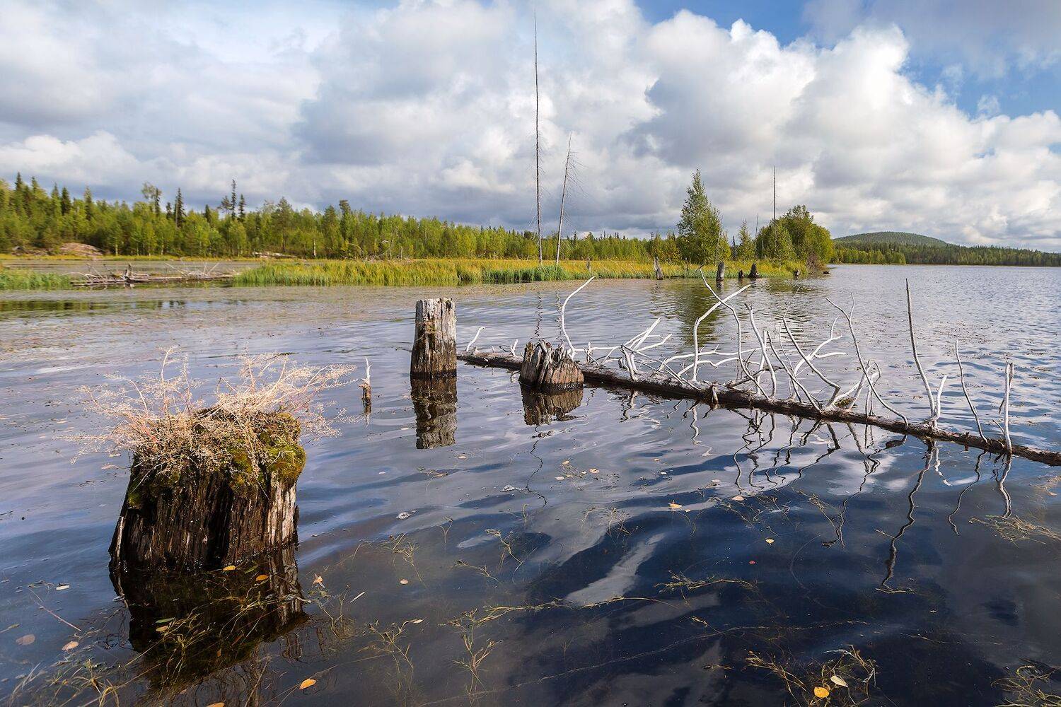 Карелия, озеро. , Ярослав Лукьянов