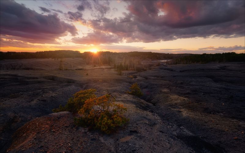 Вспыхнув на миг... фото превью