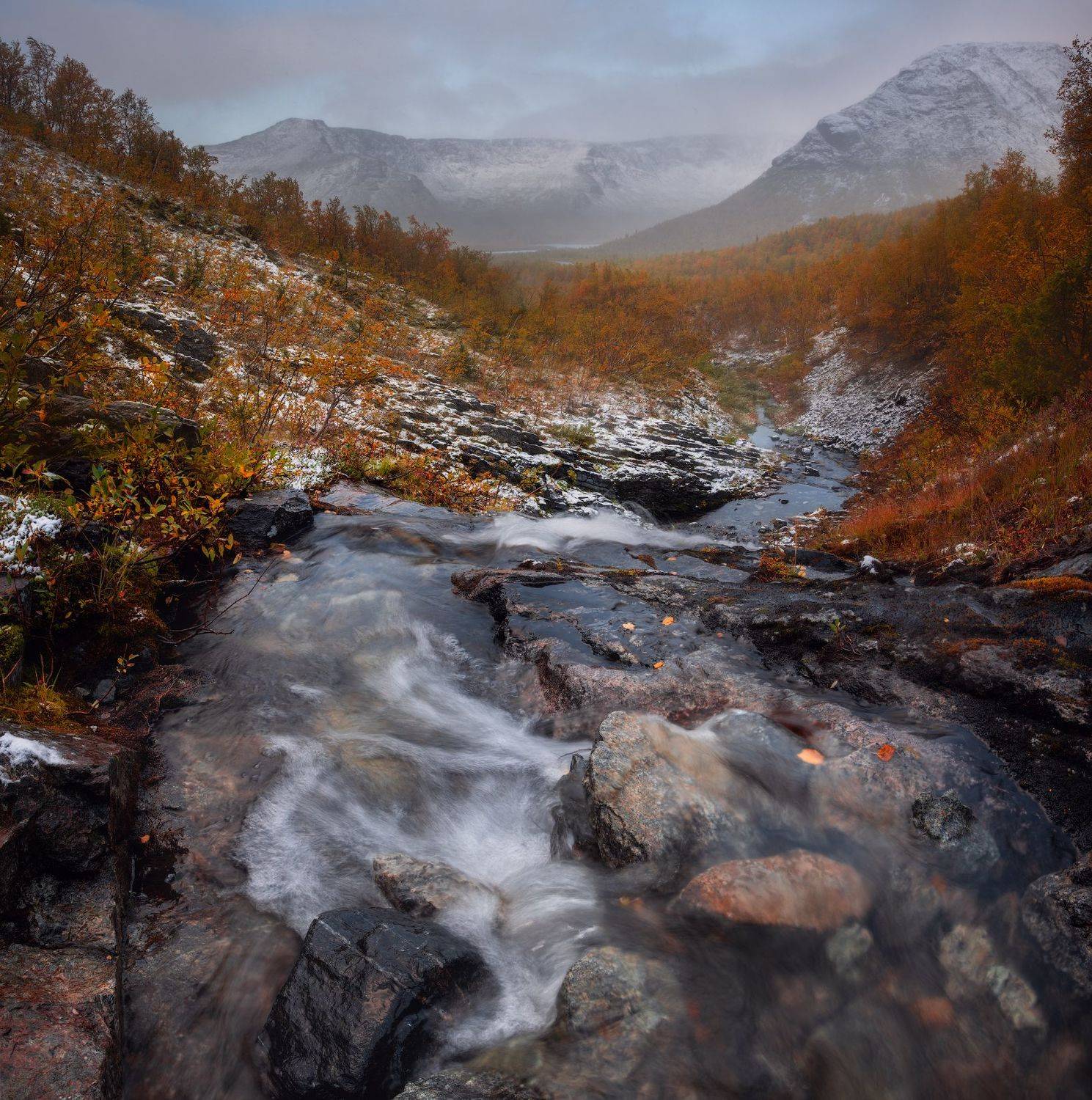 , Виталий Истомин