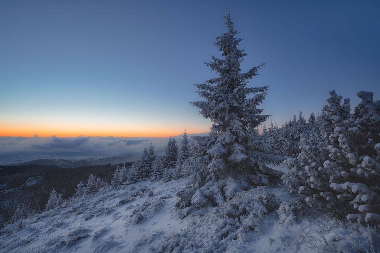 landscape,winter,mountains,canon, Iza i Darek Mitręga