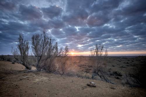Sunrise in Usbekistan desert