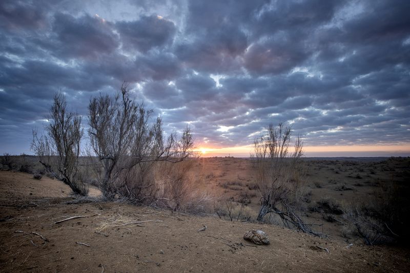 sunrise, sun, dawn, desert, landscape, dune, sky, clouds Sunrise in Usbekistan desert фото превью
