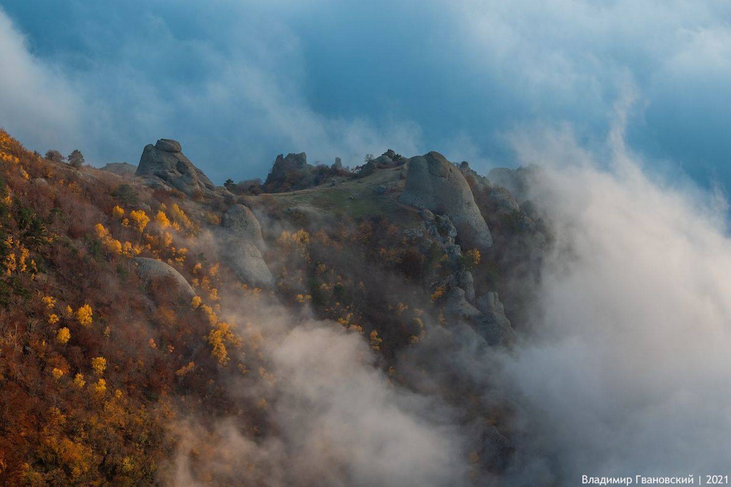, Гвановский Владимир