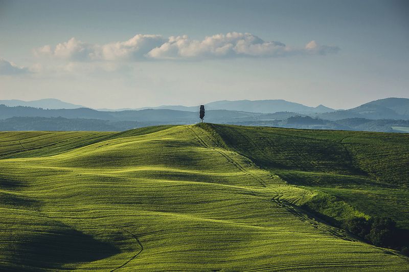 Один в поле фото превью