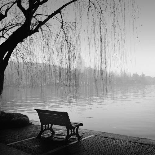 A hundred years of loneliness