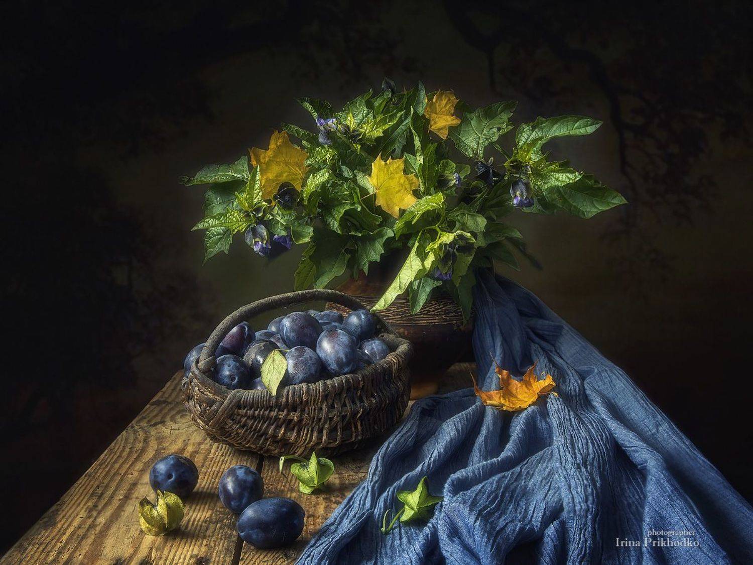 натюрморт, осень, урожай, сливы, физалис, Ирина Приходько