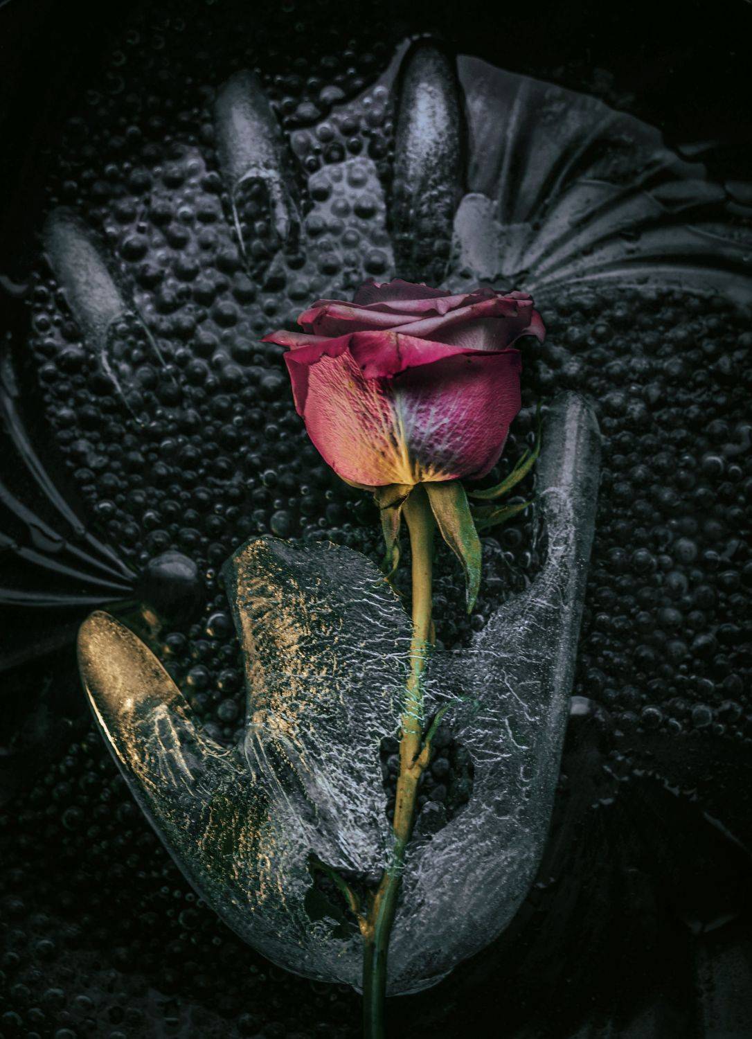 , Лапшина Владлена