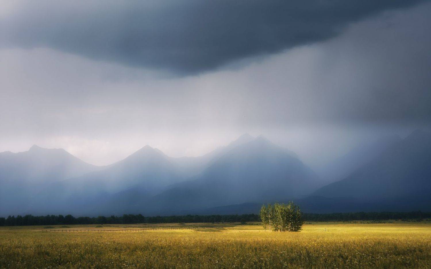 , Олег Дунаев