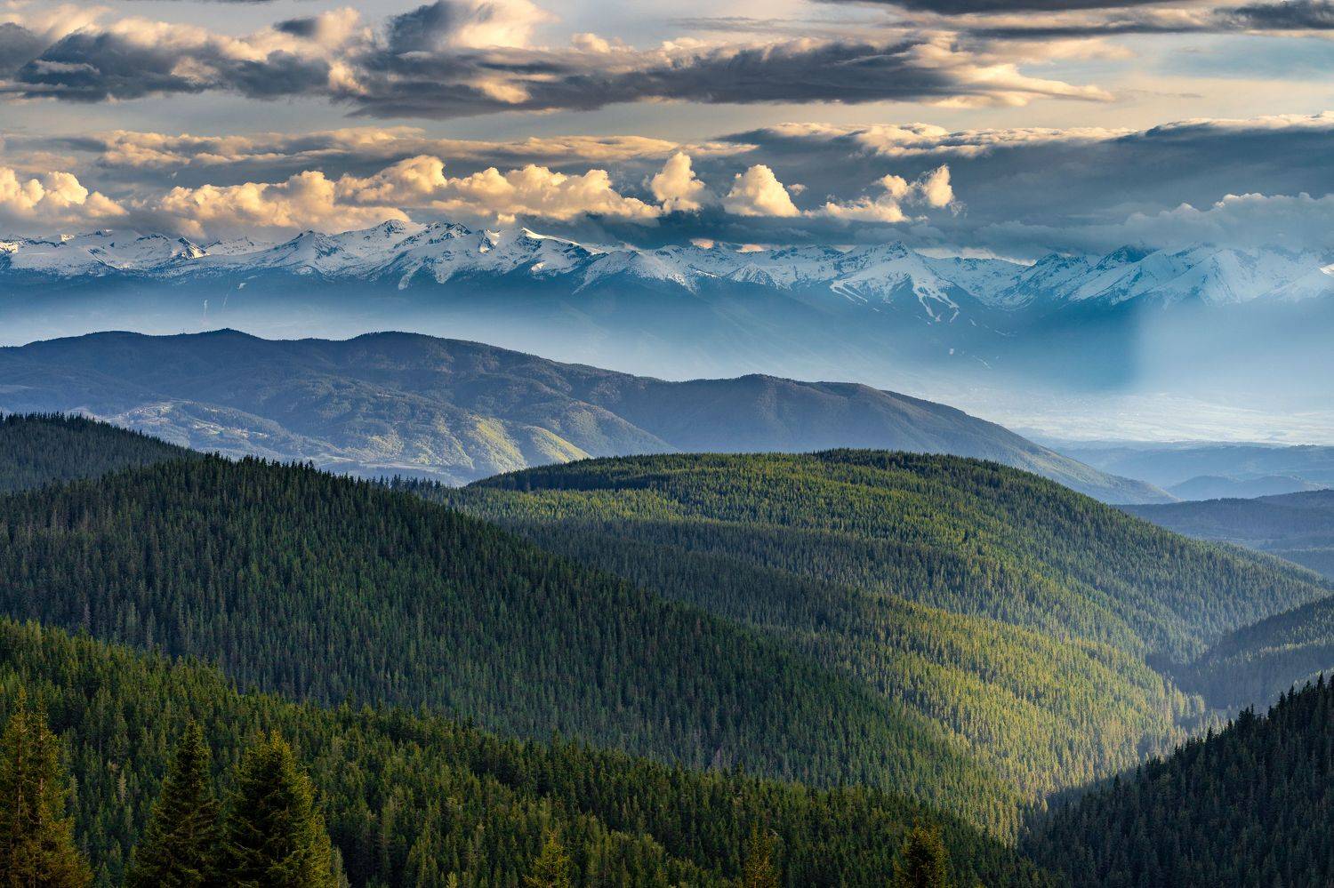 , Пламен Куденко