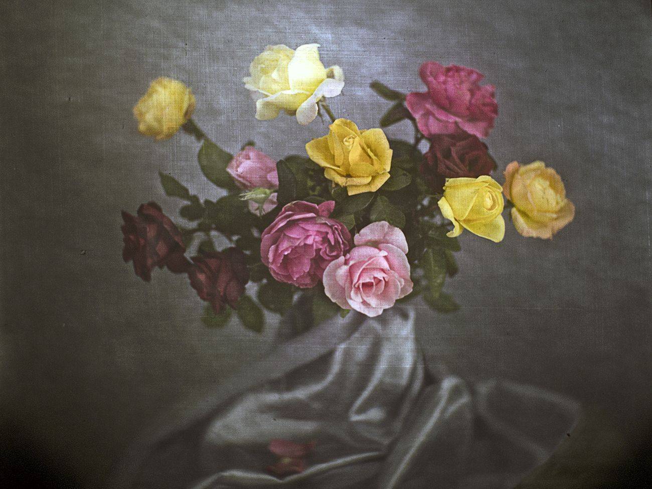 , Татьяна Аверина