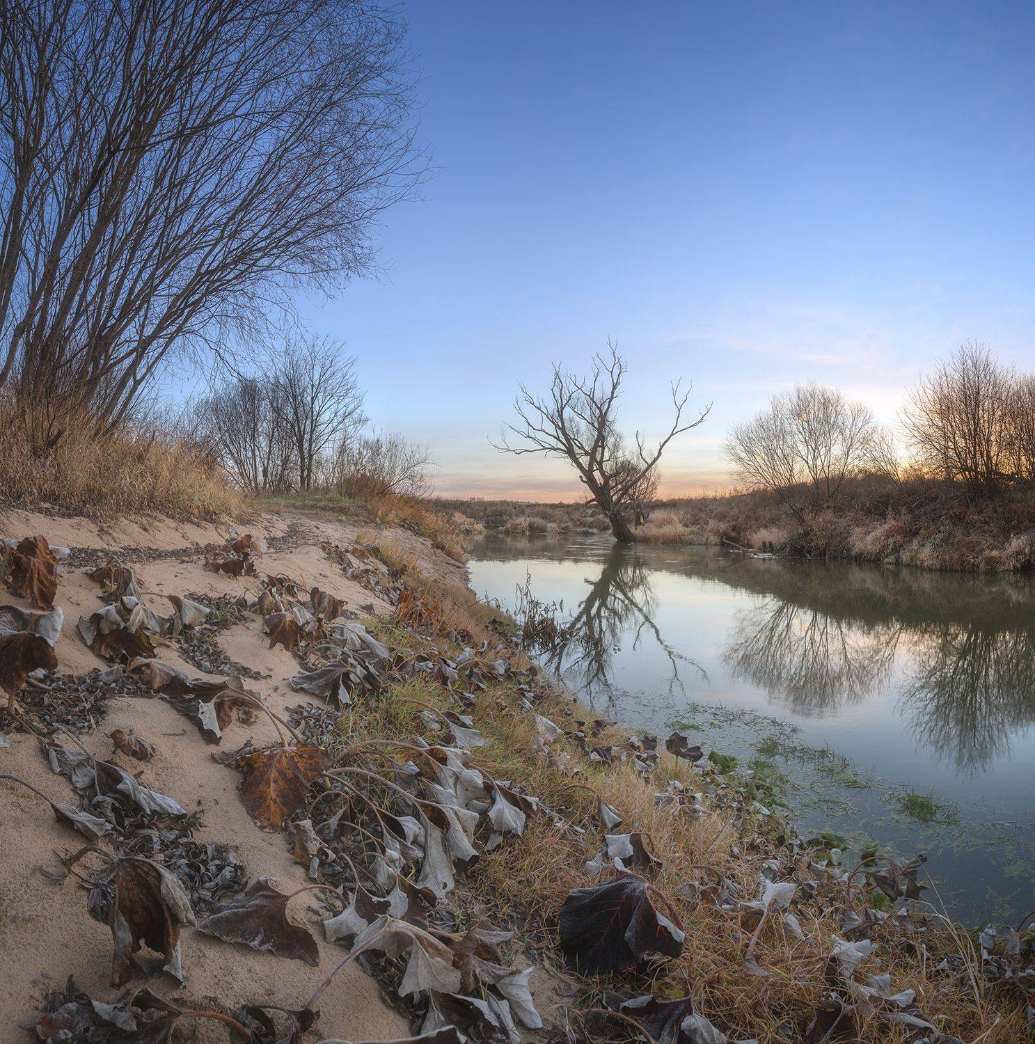 , Николай Андреев