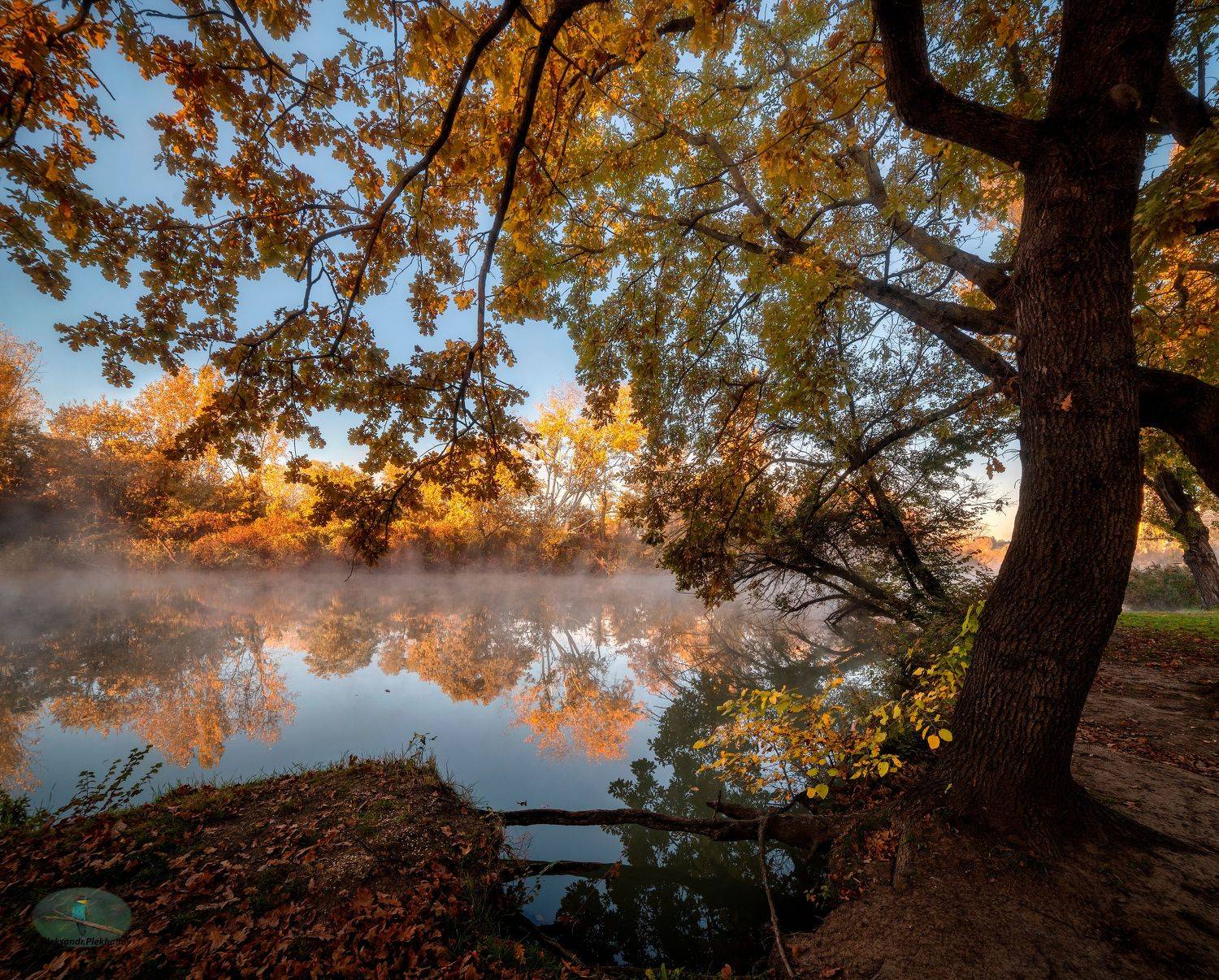 , Alexander Plekhanov