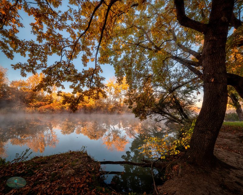 Осеннее утро фото превью
