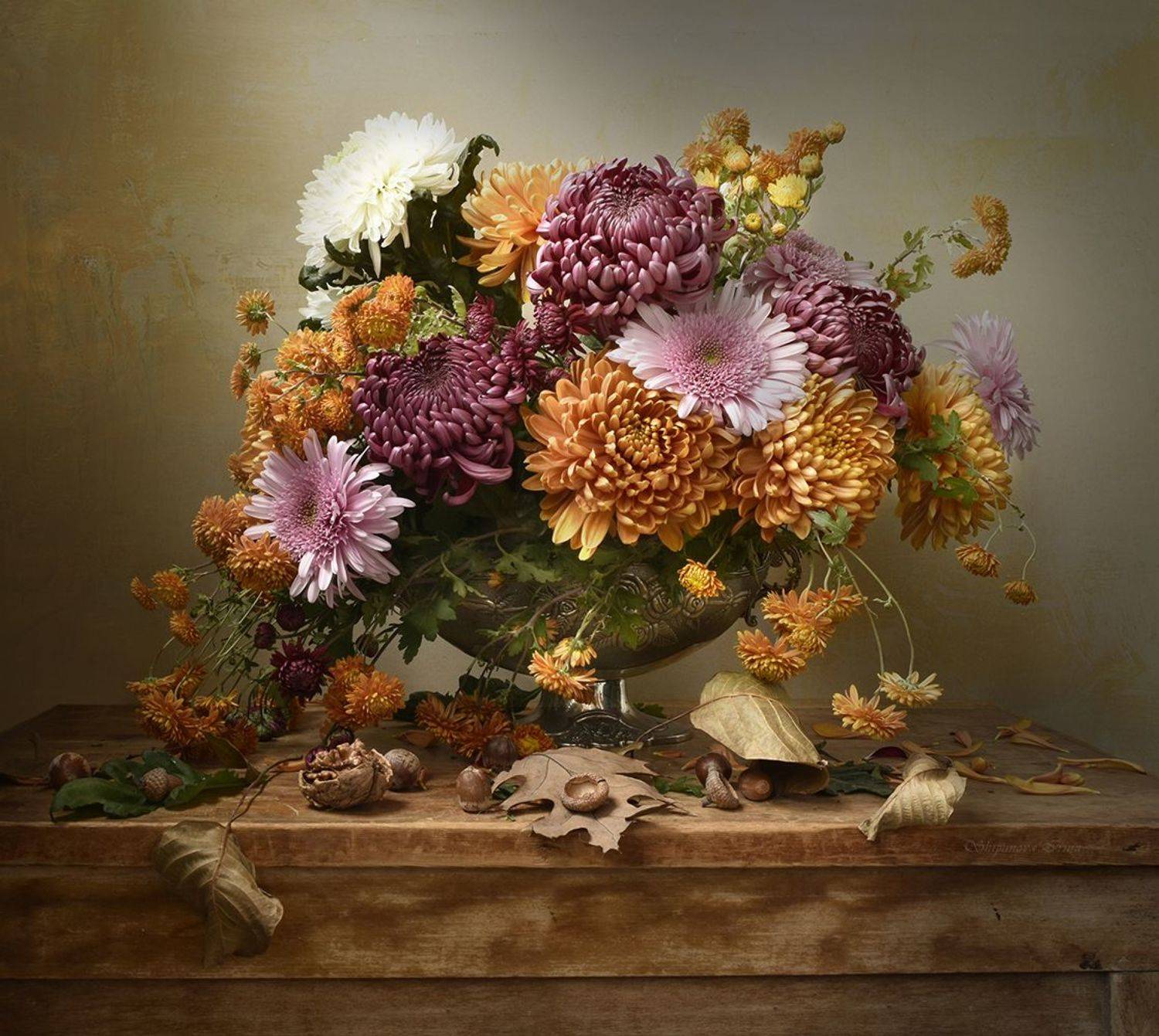 , Шипунова Ирина