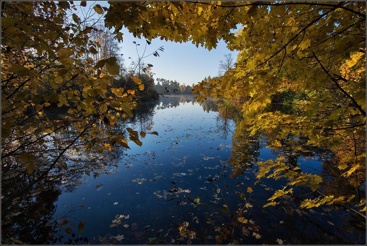 москва, осень, озеро, отражение, АНАТОЛИЙ ДОВЫДЕНКО