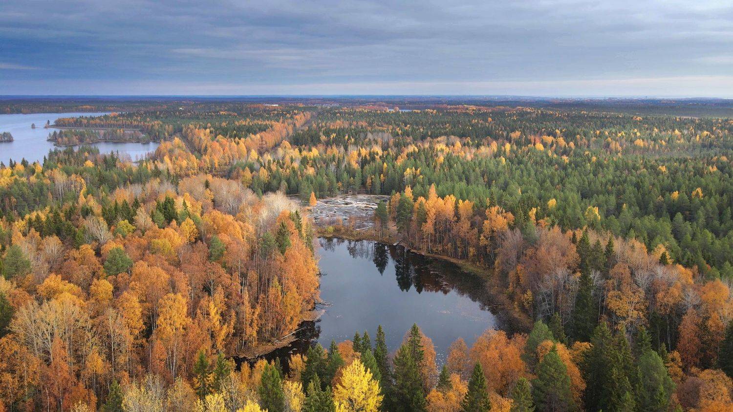 , Александр Коротков