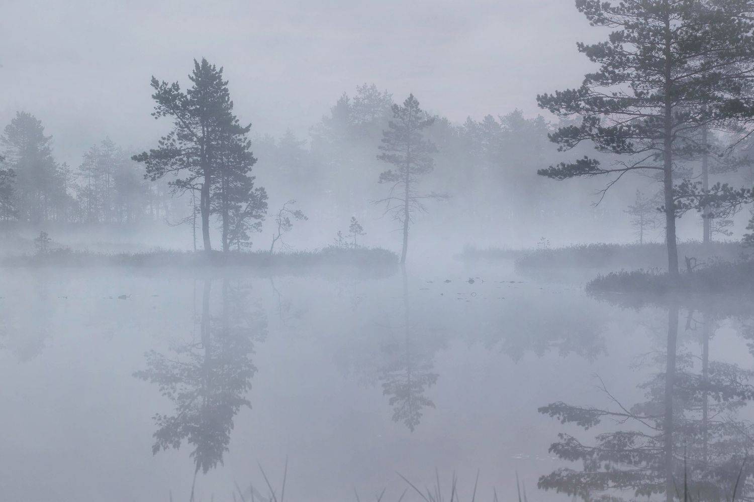 болото, кайф, рассвет ,север ,солнце, свет, закат, облака, отражение, фототур, Павел Ващенков