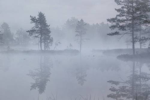 Тихое утро на Карельском перешейке
