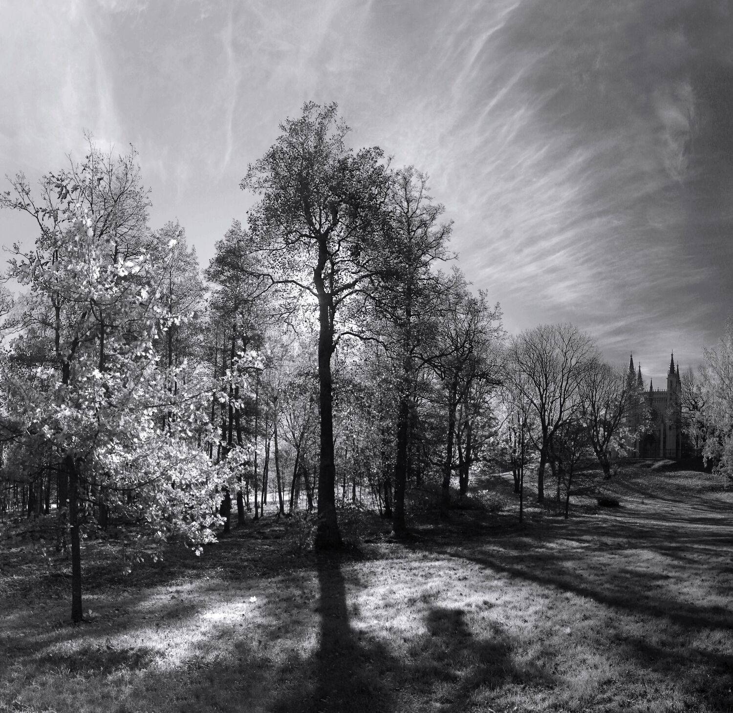 осень, Сергей Григорьев