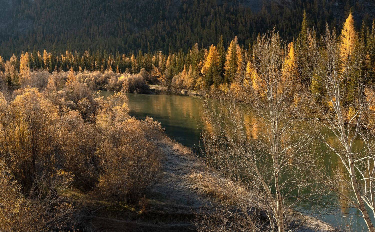алтай, рассвет, чуя., Марина Фомина